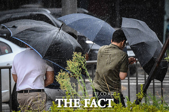 제6호 태풍 카눈이 한반도에 상륙한 10일 세종시 정부세종청사 인근에서 시민들이 우산을 쓰고 힘겹게 이동하고 있다. /이동률 기자
