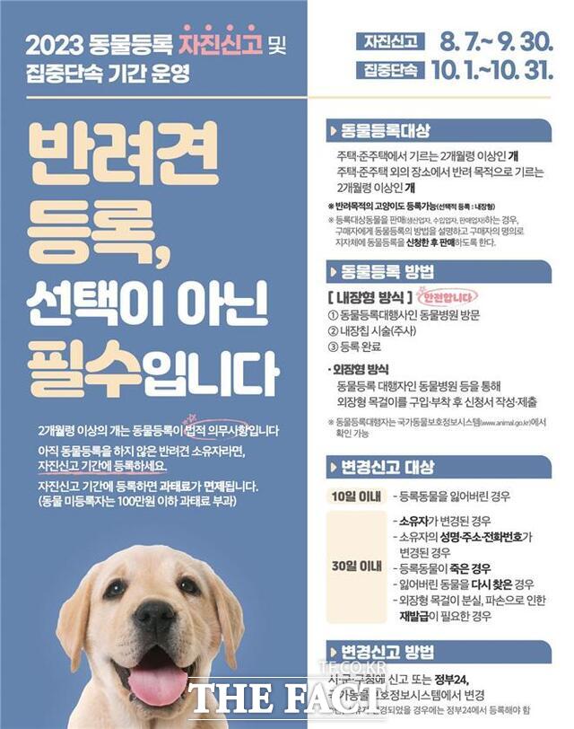 동물등록 자진신고 포스터./인천시