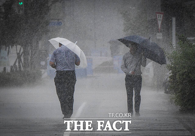 제6호 태풍 카눈이 한반도에 상륙한 10일 세종시 정부세종청사 인근에서 시민들이 우산을 쓰고 힘겹게 이동하고 있다. /세종=이동률 기자