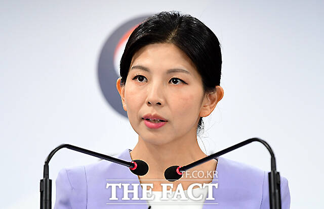 김인애 통일부 부대변인이 11일 서울 종로구 정부서울청사에서 정례브리핑을 하고 있다. /임영무 기자