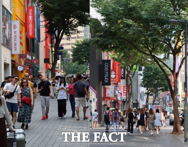 명동 거리가 관광객들로 북적이고 있다. /이상빈 기자