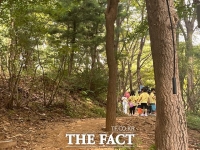  '혼자 못 다니겠네'…'흉기난동' 이어 '대낮 성폭행'