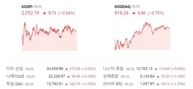 코스닥 지수는 전 거래일보다 0.75%(6.86포인트) 오른 916.24에 장을 마무리 지었다. /네이버 증권정보 캡처