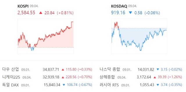 4일 코스닥은 전날보다 0.58포인트 하락한 919.16에 거래를 마쳐 2거래일 연속 하락 마감했다. /네이버 증권 캡처