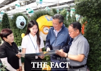  대전 제14회 유성국화전시회 내달 13일 개막