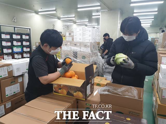 서울시 가락 친환경유통센터에서 직원들이 식재료를 점검하고 있다. /서울시
