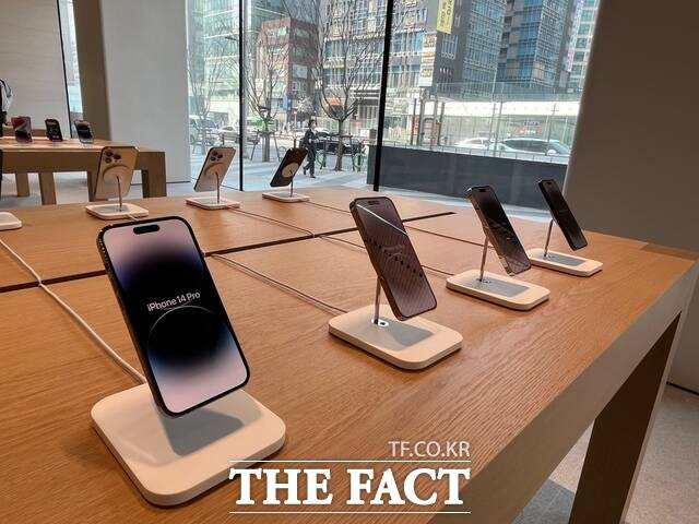 지난 3월 문을 연 애플의 5번째 한국 매장 애플강남에 아이폰14 시리즈가 전시돼 있다. /최문정 기자