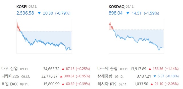 코스닥은 전 거래일 대비 14.51포인트 내린 898.04에 거래를 마쳐 2거래일 연속 하락 마감했다. /네이버 증권 캐처