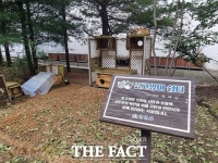  천안시의회 '길고양이 보호조례안’ 보류 결정...'사회적 합의 필요'