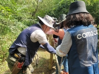  컴투스 그룹, 수달 서식지 보호 위한 환경 봉사활동