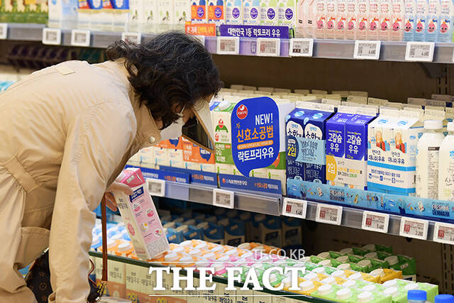 우유 원유 가격이 리터당 88원(8.8%) 오르면서 지난 1일 서울우유협동조합과 매일유업, 남양유업 등이 우유 가격을 인상한 가운데 3일 오전 서울 시내 대형마트의 판매대에서 한 소비자가 우유를 고르고 있다. /서예원 인턴기자