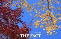  [오늘의 날씨] 아침 최저 6도 '뚝'…강원산지에 얼음