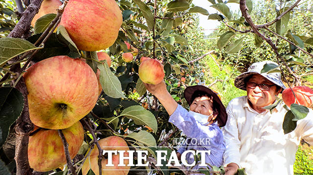 기상청에 따르면 11일은 전국이 대체로 맑겠다. /이동률 기자