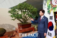  보성군, ‘대한민국 차나무 분재 대전’ 13일 개최