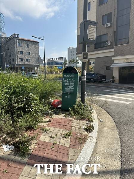 청주시 흥덕구청이 인도를 관리하지 않아 주미들이 불편을 호소하고 있다./제보자