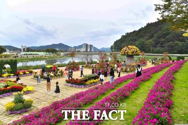 전남 장성군은 ‘2023년 장성군 황룡강 가을꽃축제’가 22일 나들이객 맞이까지 모든 공식 일정을 마무리했다고 23일 밝혔다./장성군