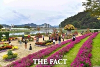  ‘장성군 황룡강 가을꽃축제’ 종료…