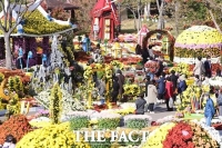  진주 국화작품전시회 25일 개막…9만 5000점 작품 전시