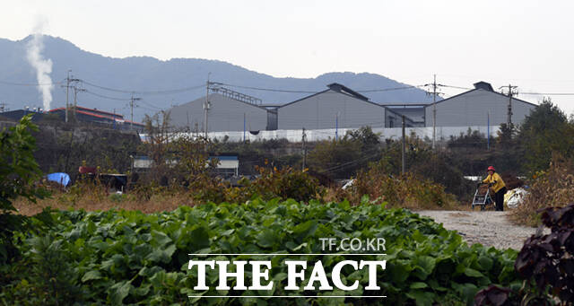 경기 연천군 청산면 대전리 마을에서 이동하는 주민 너머로 연기를 내뿜으며 가동 중인 공장들이 보이고 있다.