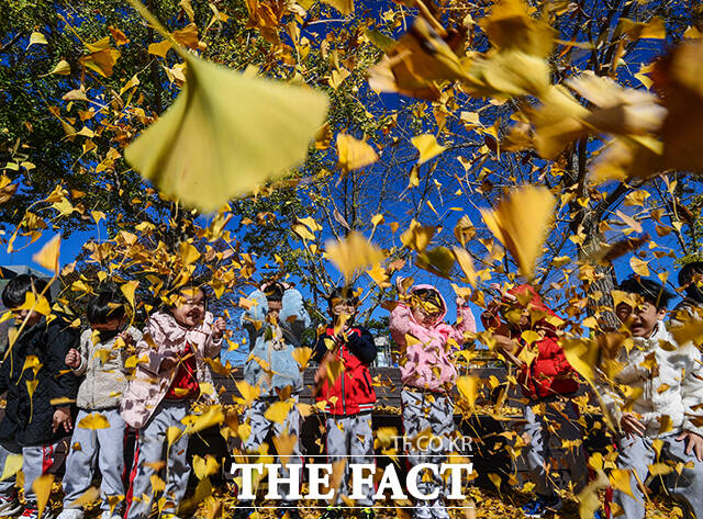 10일 오후 충남 아산시 염치읍 곡교천 은행나무길을 찾은 어린이들이 은행잎을 뿌리며 즐거운 시간을 보내고 있다. /아산=이동률 기자