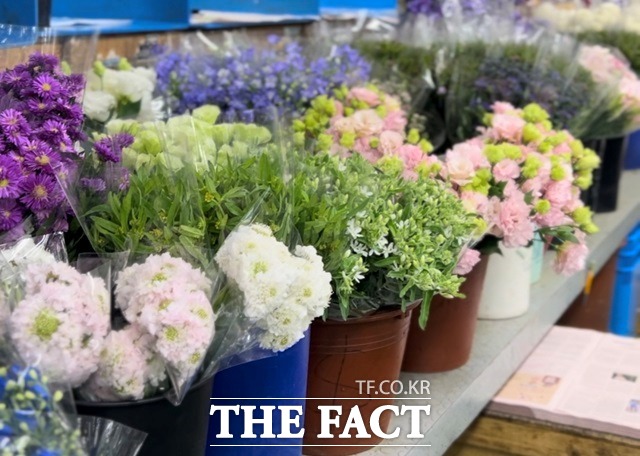 서울 강남고속버스터미널에 위치한 꽃시장 매대에 꽃이 놓여 있다./ 선은양 기자