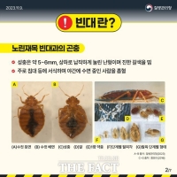  수원시, 4개 보건소에 ‘빈대 신고센터’ 설치