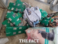  천안 아파트서 고양이 500여 마리 사체 발견
