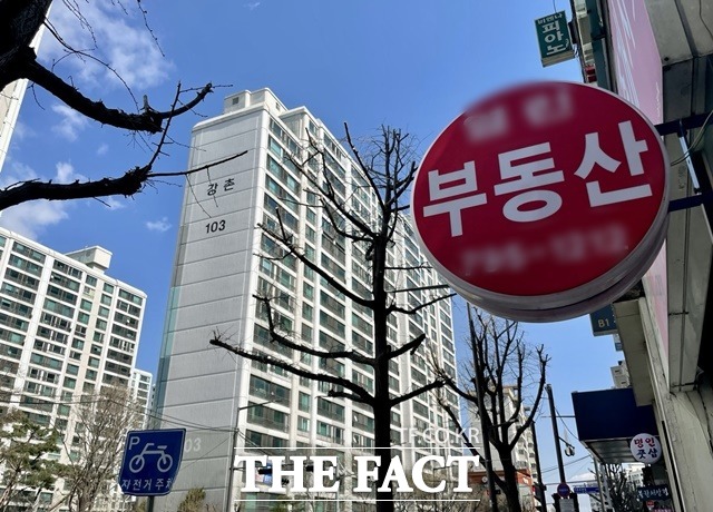 전문가들은 과거 대출을 통해 내집마련에 나선 집주인이 많은 서울 외곽지역의 중저가 아파트를 중심으로 가격 하락세가 확산한 것으로 풀이하고 있다. 원리금 상환 부담이 커진 집주인들이 낮은 가격에 주택을 처분하고 있다는 것이다. /더팩트 DB