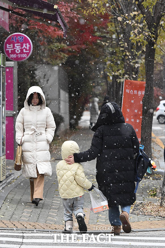 전국적으로 한겨울 수준의 강추위가 찾아온 29일 오후 서울 서대문구 가좌역 일대에서 시민들이 눈을 맞으며 거리를 걷고 있다. /장윤석 기자