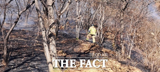 30일 오전 경산시 팔공산 8부 능선에서 불이 나 소방대원이  진화를 하고 있다./경북소방본부