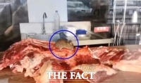  이번에는 '쥐가 먹은 고기'…식품위생 불안감 커지는 중국