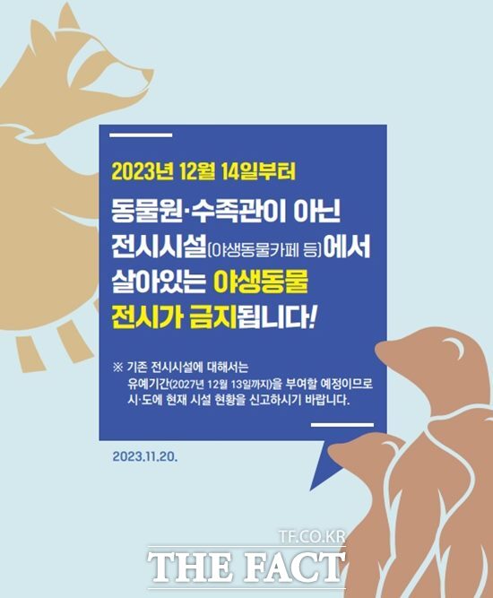 전북도는 ‘야생생물 보호 및 관리에 관한 법률’ 개정으로 오는 14일부터 기존 등록된 동물원·수족관 외 신고되지 않은 야생동물 카페나 야생동물 판매 등 시설에서 살아있는 야생동물의 전시가 금지된다고 밝혔다./전북도