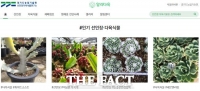  경기도농업기술원, 다육식물 정보 한눈에 '알리다육' 개설