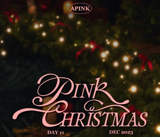 걸그룹 에이핑크는 오늘(11일 오후 6시) 크리스마스를 기념하는 겨울 시즌송 핑크 크리스마스(PINK CHRISTMAS)를 발매한다. /IST엔터테인먼트