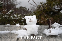  [오늘의 날씨] 수도권 30~80㎜ 비…강원산지 '폭설'