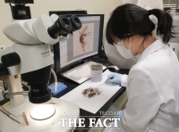  경기지역 말라리아 환자 10년 간  5204명