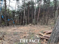  포항시 숲가꾸기 사업 ‘공사발주부터 관리감독 부재’