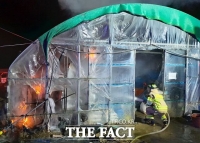  안동 농사용 비닐하우스에 불…3000만 원 재산피해