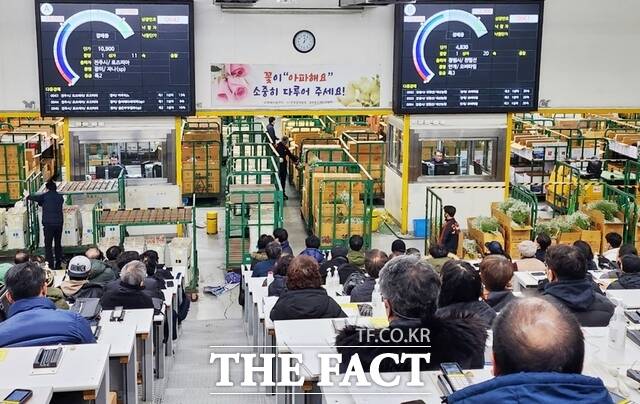 aT 화훼사업센터가 갑진년 새해 첫 장 경매에서 최대 실적을 달성했다. / 한국농수산식품유통공사