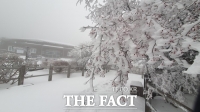  평년보다 따뜻했던 12월 제주, 한라산 눈 1m 쌓였다