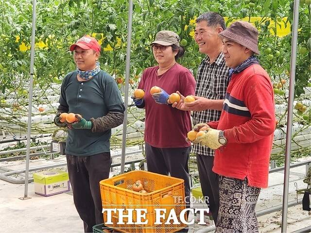 전북 완주군이 농림축산식품부가 주관하는 농촌인력 공모 사업에 2개 부문이 선정됐다. /완주군