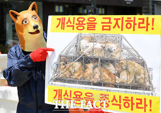 한국동물보호연합 등 동물단체 회원들이 2002년 7월26일 오후 서울 종로구 광화문 광장에서 개식용 종식을 촉구하는 기자회견을 열고 손피켓을 들어보이고 있다./더팩트 DB