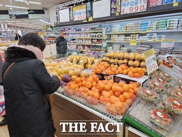 지난 8일 서울 동작구 할인마트 과일 코너에서 한 소비자가 상품을 살펴보고 있다. /우지수 기자