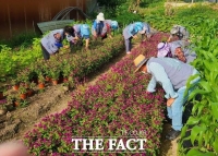  익산시, 올해 458억 들여 1만 1123명 노인일자리 제공