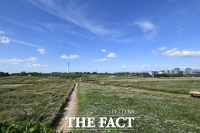  [오늘의 날씨] 전국 대부분 맑고 포근…낮 최고 12도