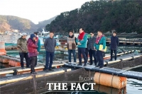  통영시, 겨울철 어류 가두리 양식장  저수온 피해 대비 선제적 대응 돌입