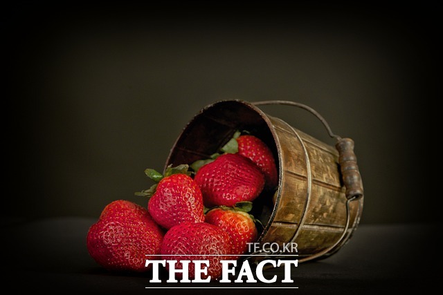 김해의 딸기 재배하우스에 침입해 딸기를 대량으로 훔쳐 달아난 50대가 붙잡혔다./픽사베이