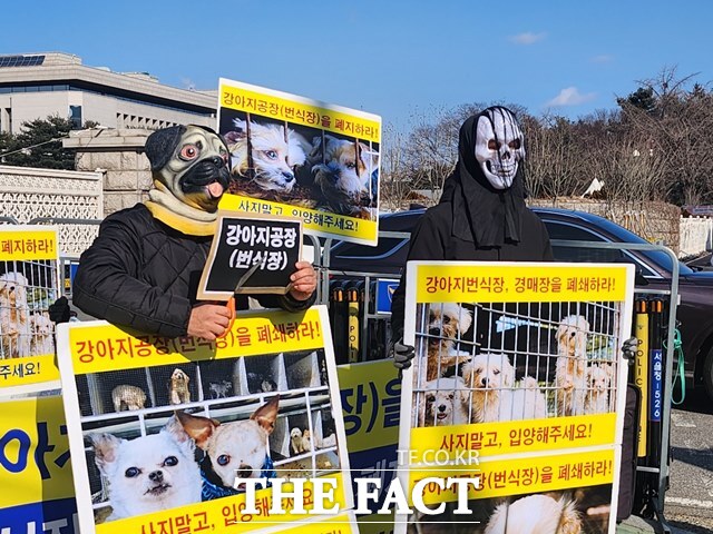 한국동물보호연합은 23일 오후 서울 영등포구 국회 앞에서 기자회견을 열고 합법적인 강아지 번식장에서 질병 방치, 밀집 사육, 불법 도살 등 온갖 동물학대가 이뤄지고 있다고 주장했다. /이윤경 인턴기자