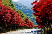  산청군, 지리산권 관광벨트 구축사업 '탄력'