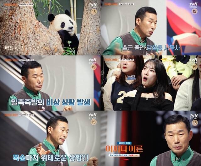 tvN 새 예능프로그램 일상의 지식 : 어쩌다 어른 첫 회에 강철원 사육사가 출연한다. /tvN